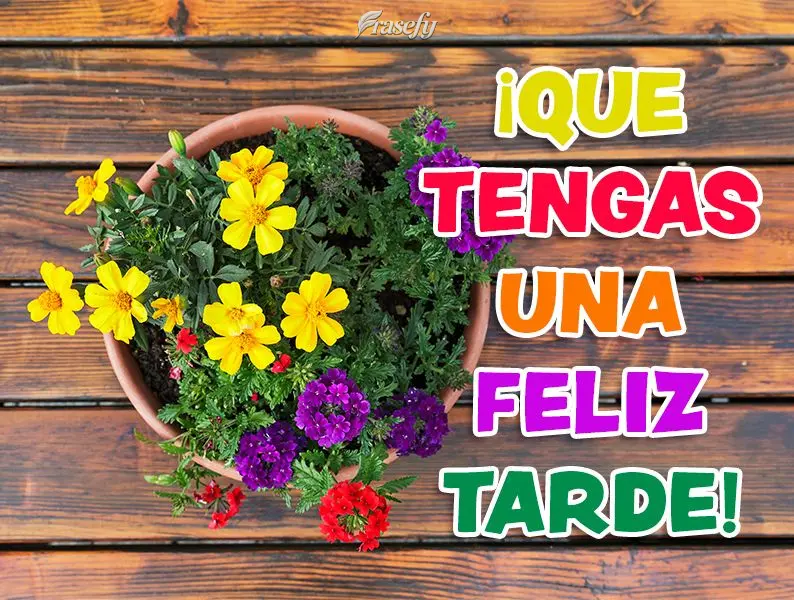 ¡Que tengas una feliz tarde!