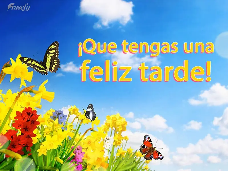 ¡Que tengas una feliz tarde!