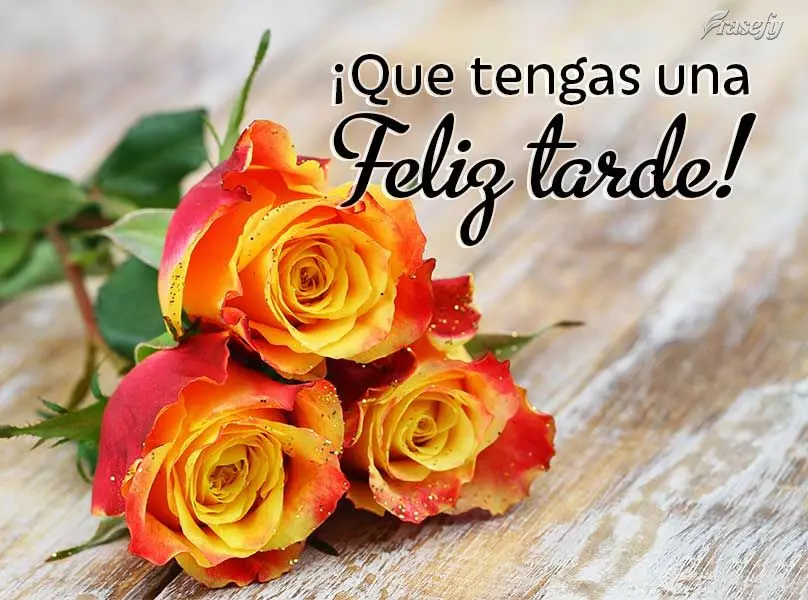 ¡Que tengas una feliz tarde!