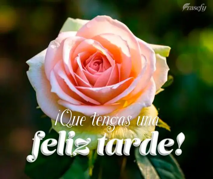 ¡Que tengas una feliz tarde!