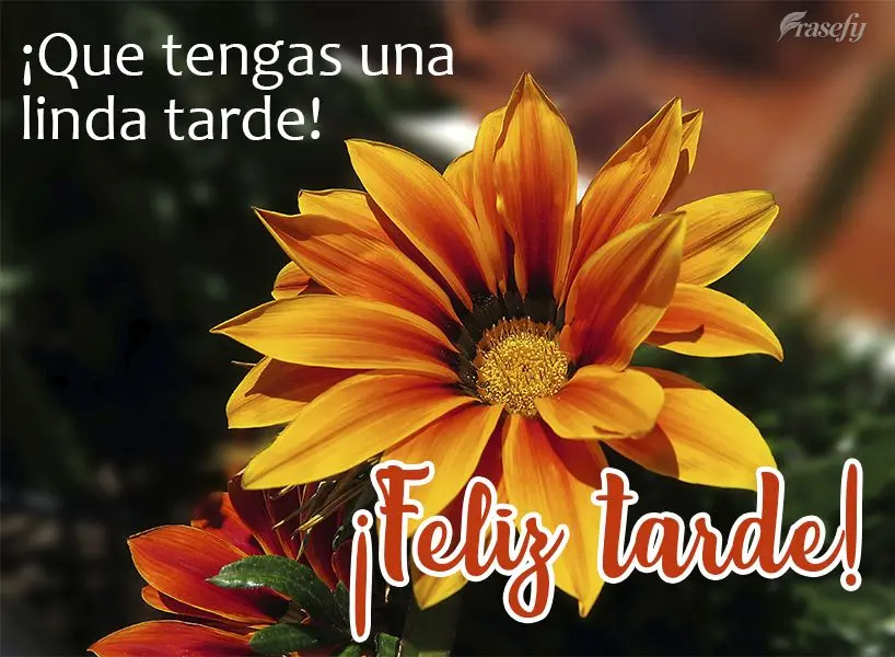 ¡Que tengas una linda tarde! ¡Feliz tarde!
