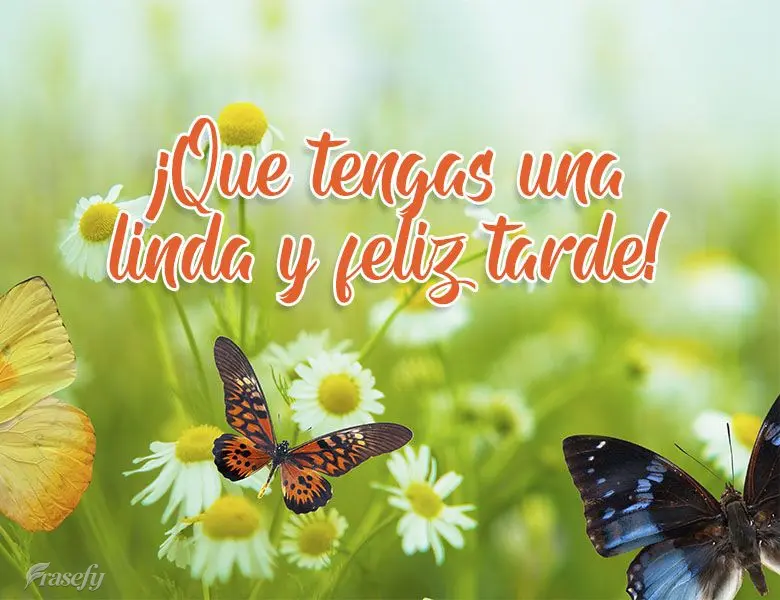 ¡Que tengas una linda y feliz tarde!