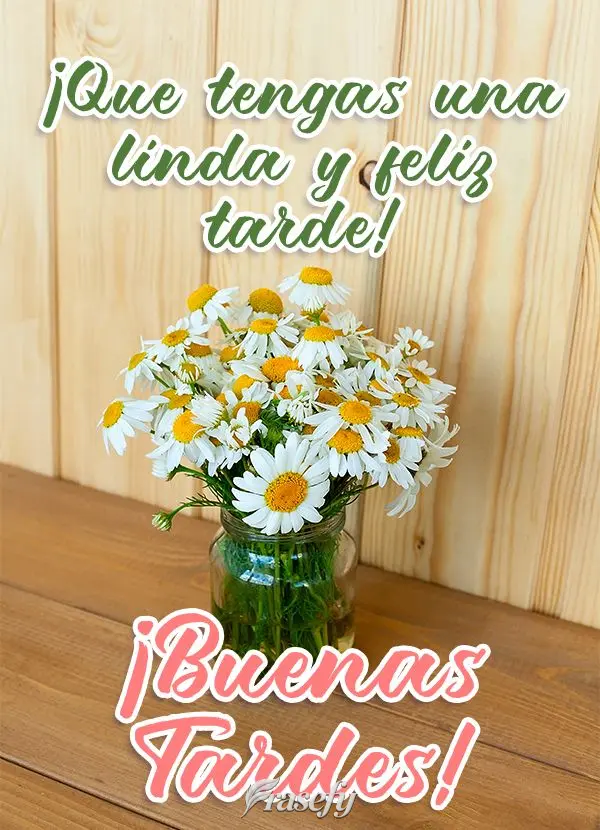 ¡Que tengas una linda y feliz tarde! ¡Buenas tardes!