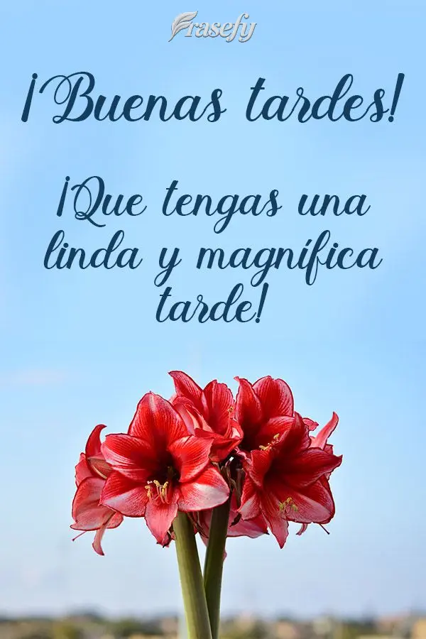 ¡Que tengas una linda y magnífica tarde! ¡Buenas tardes!