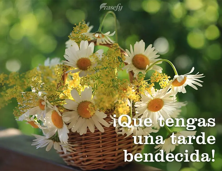 ¡Que tengas una tarde bendecida!