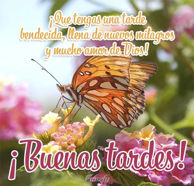 ¡Que tengas una tarde bendecida, llena de nuevos milagros y mucho amor de Dios! ¡Buenas tardes!