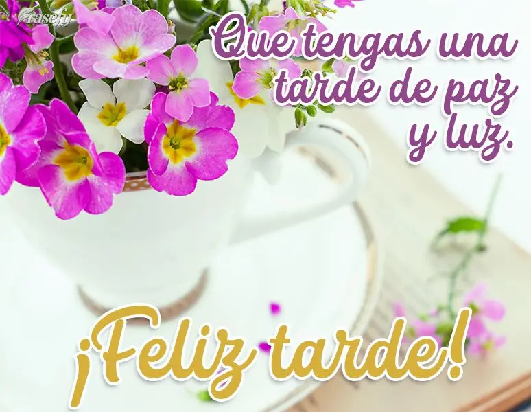Que tengas una tarde de paz y luz. ¡Feliz tarde!