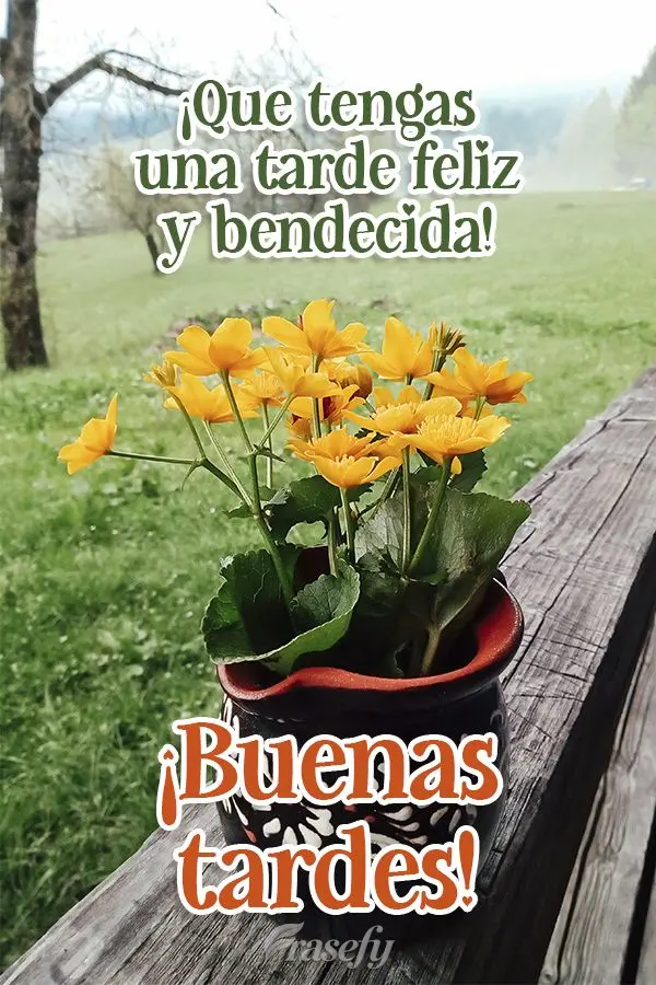 ¡Que tengas una tarde feliz y bendecida! ¡Buenas tardes!