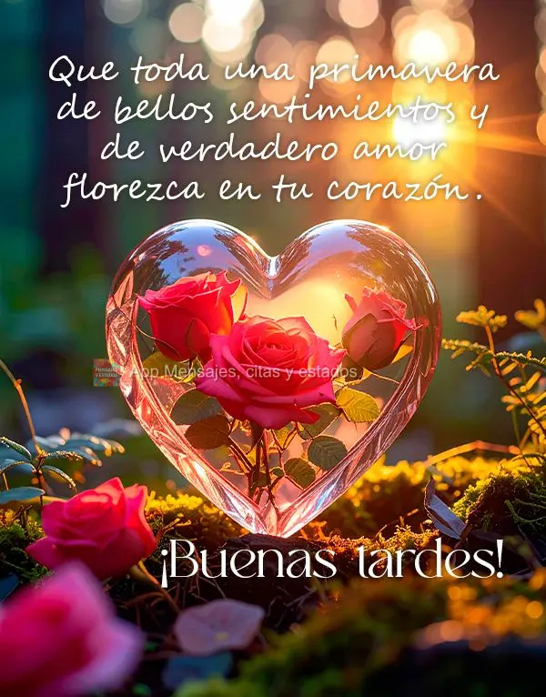 Que toda una primavera de bellos sentimientos y de verdadero amor florezca en tu corazón. ¡Buenas tardes!