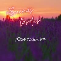 ¡Que todas las bendiciones de la vida se vuelvan diarias y que siempre lleguen con dosis de alegría y satisfacción! ¡Buenas tardes!