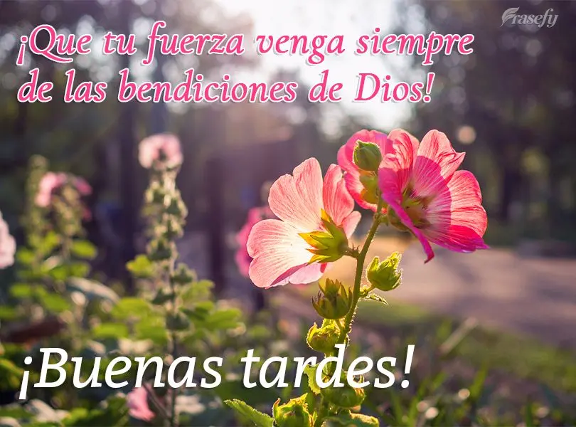 ¡Que tu fuerza venga siempre de las bendiciones de Dios! ¡Buenas tardes!