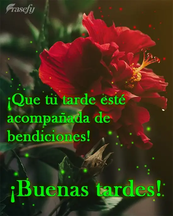 ¡Que tu tarde esté acompañada de bendiciones! ¡Buenas tardes!