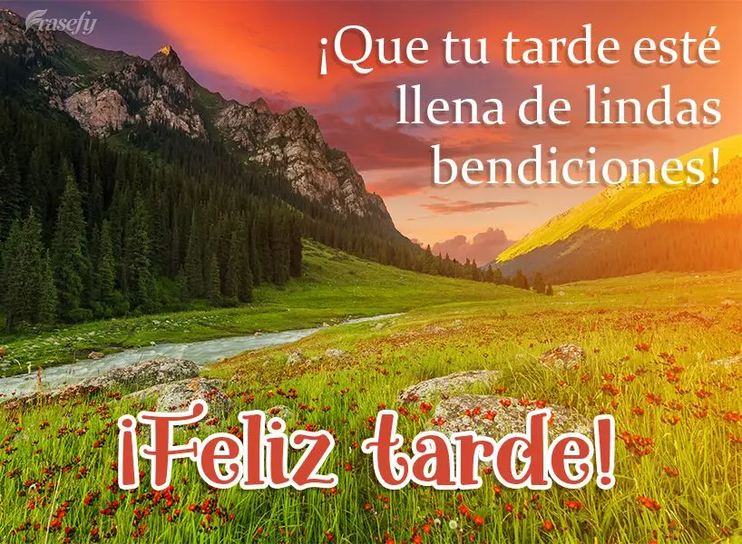 ¡Que tu tarde esté llena de lindas bendiciones! ¡Feliz tarde!
