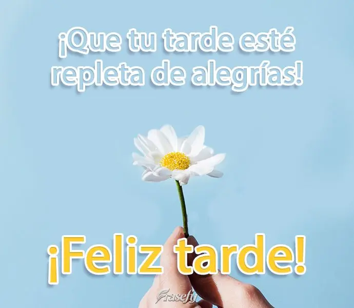 ¡Que tu tarde esté repleta de alegrías! ¡Feliz tarde!