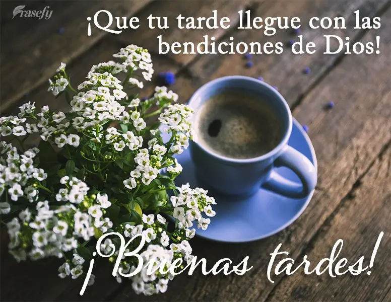 ¡Que tu tarde llegue con las bendiciones de Dios! ¡Buenas tardes!