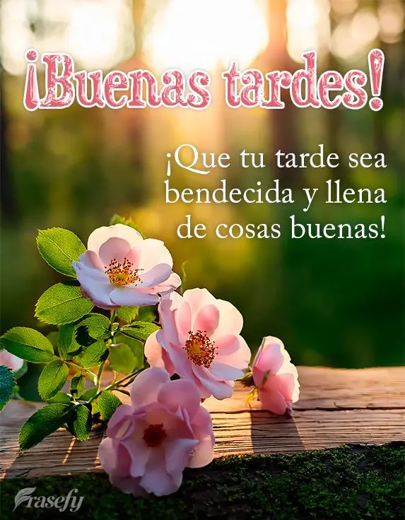 ¡Que tu tarde sea bendecida y llena de cosas buenas! ¡Buenas tardes!