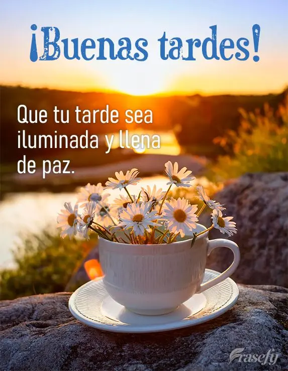 Que tu tarde sea iluminada y llena de paz. ¡Buenas tardes!
