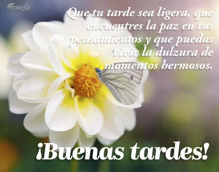 Que tu tarde sea ligera, que encuentres la paz en tus pensamientos y que puedas vivir la dulzura de momentos hermosos. ¡Buenas tardes!