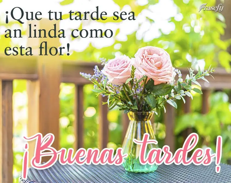 ¡Que tu tarde sea tan linda como esta flor! ¡Buenas tardes!