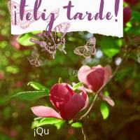 ¡Que tu tarde sea tranquila, y que lleguen muchas bendiciones para alegrar tu día! ¡Feliz tarde!