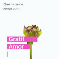 ¡Que tu tarde venga con: Gratitud, Amor y Bendiciones!