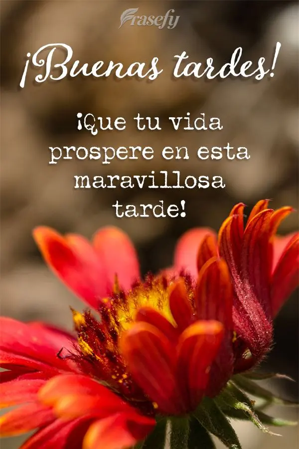 ¡Que tu vida prospere en esta maravillosa tarde! ¡Buenas tardes!