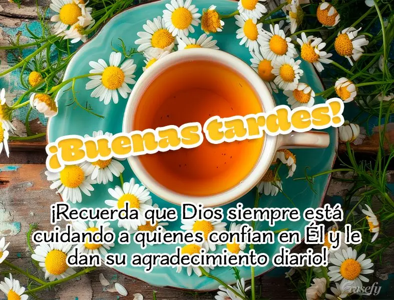 ¡Recuerda que Dios siempre está cuidando a quienes confían en Él y le dan su agradecimiento diario! ¡Buenas tardes!