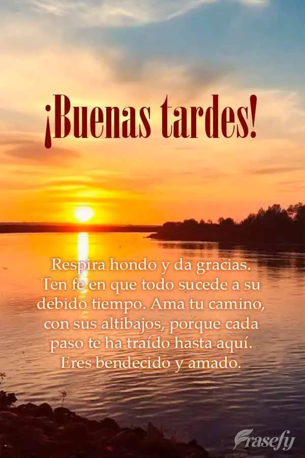 Respira hondo y da gracias. Ten fe en que todo sucede a su debido tiempo. Ama tu camino, con sus altibajos, porque cada paso te ha traído hasta aquí. E...