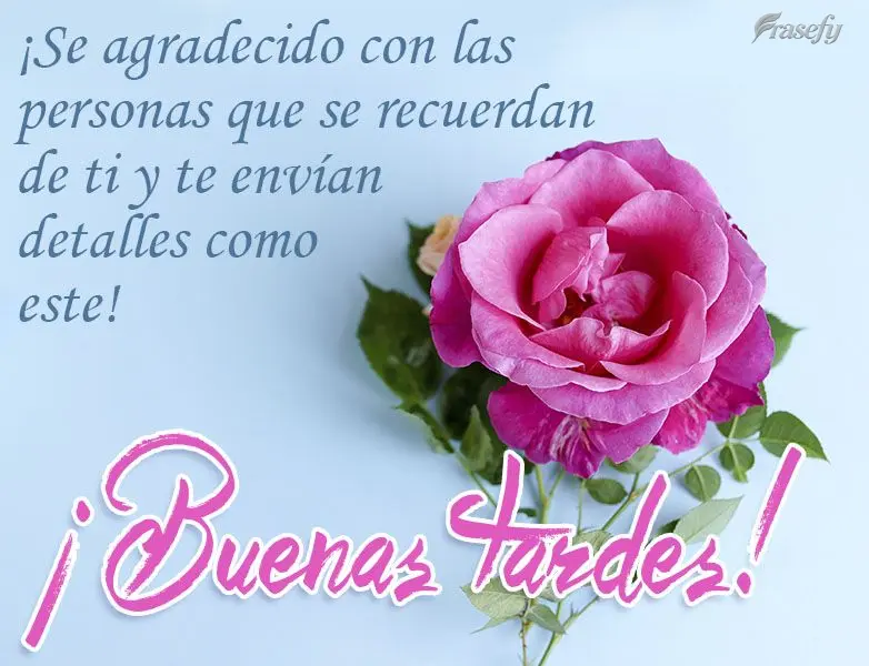 ¡Se agradecido con las personas que se recuerdan de ti y te envían detalles como este! ¡Buenas tardes!