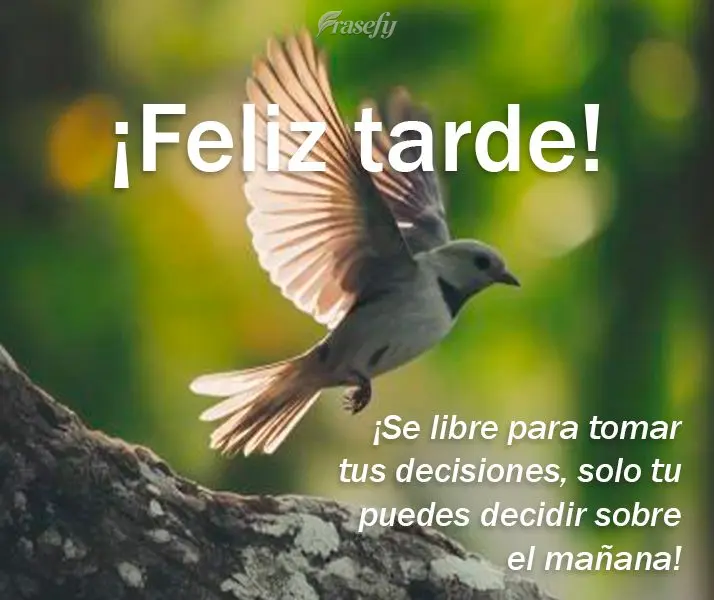 ¡Se libre para tomar tus decisiones, solo tu puedes decidir sobre el mañana! ¡Feliz tarde!