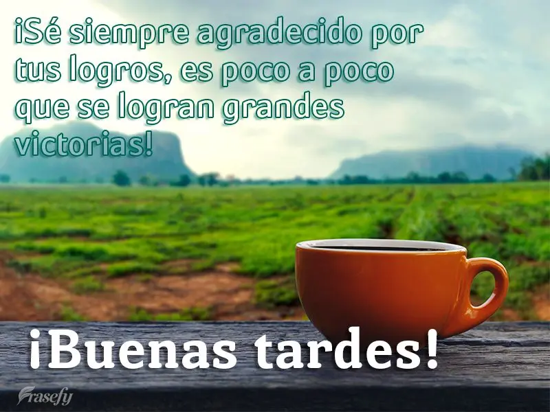 ¡Sé siempre agradecido por tus logros, es poco a poco que se logran grandes victorias! ¡Buenas tardes!