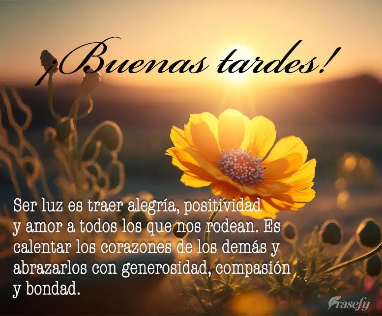 Ser luz es traer alegría, positividad y amor a todos los que nos rodean. Es calentar los corazones de los demás y abrazarlos con generosidad, compasió...