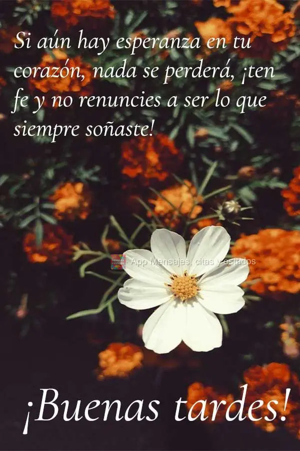 Si aún hay esperanza en tu corazón, nada se perderá, ¡ten fe y no renuncies a ser lo que siempre soñaste! ¡Buenas tardes!