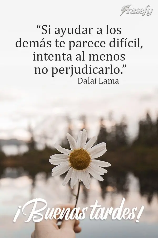 “Si ayudar a los demás te parece difícil, intenta al menos no perjudicarlo.” ¡Buenas tardes! Dalai Lama