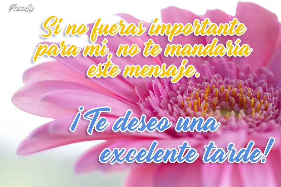 Si no fueras importante para mí, no te mandaría este mensaje. ¡Te deseo una excelente tarde!