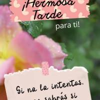 Si no lo intentas, nunca sabrás si es posible. ¡Hermosa tarde para ti!