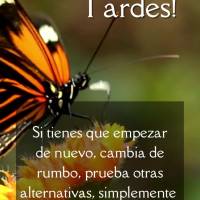 Si tienes que empezar de nuevo, cambia de rumbo, prueba otras alternativas, simplemente no te quedes donde no puedes evolucionar.  ¡Buenas tardes!