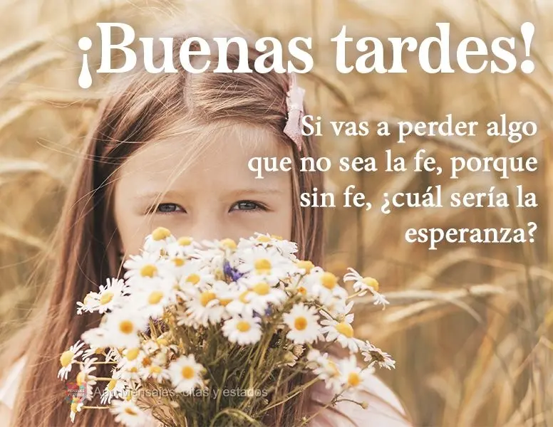 Si vas a perder algo que no sea la fe, porque sin fe, ¿cuál sería la esperanza? ¡Buenas tardes!
