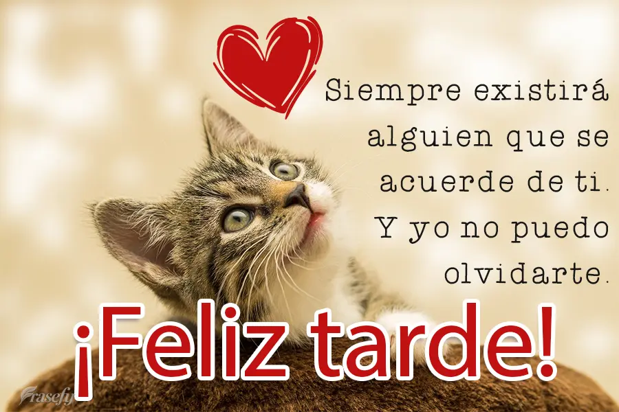 Siempre existirá alguien que se acuerde de ti. Y yo no puedo olvidarte. ¡Feliz tarde!