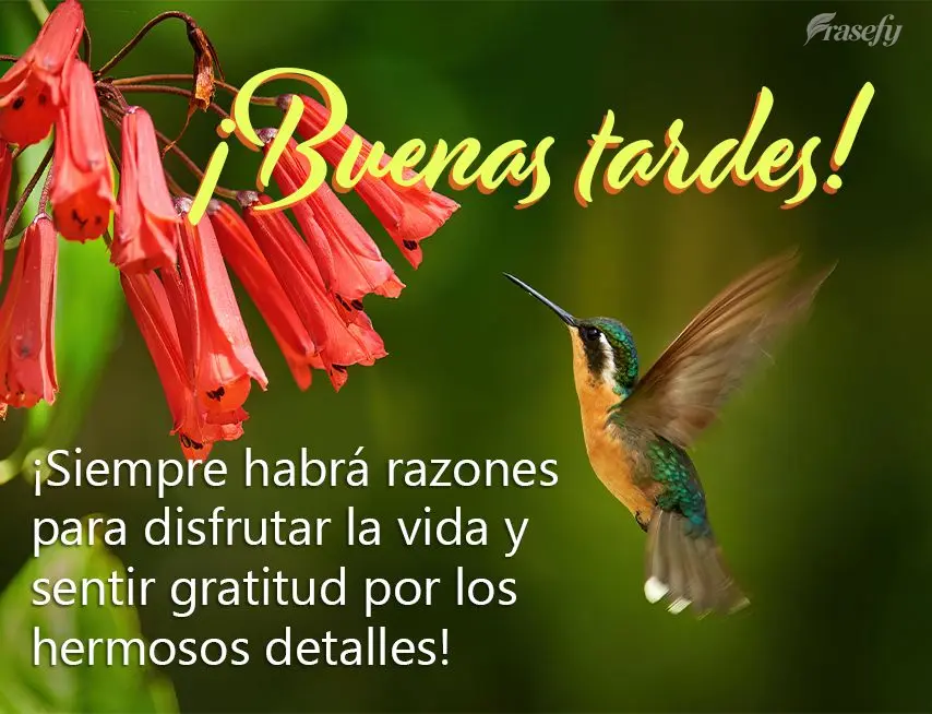 ¡Siempre habrá razones para disfrutar la vida y sentir gratitud por los hermosos detalles! ¡Buenas tardes!