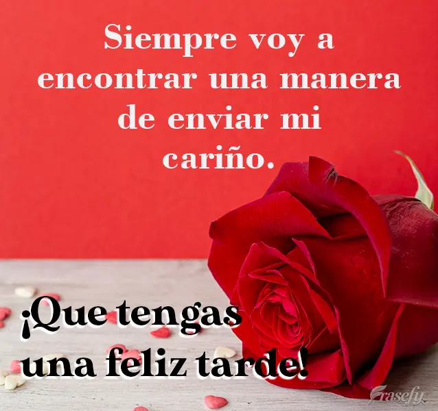 Siempre voy a encontrar una manera de enviar mi cariño. ¡Que tengas una feliz tarde!