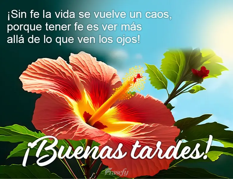¡Sin fe la vida se vuelve un caos, porque tener fe es ver más allá de lo que ven los ojos! ¡Buenas tardes!