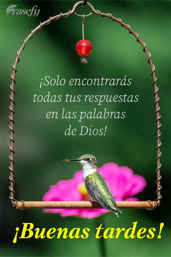 ¡Solo encontrarás todas tus respuestas en las palabras de Dios! ¡Buenas tardes!