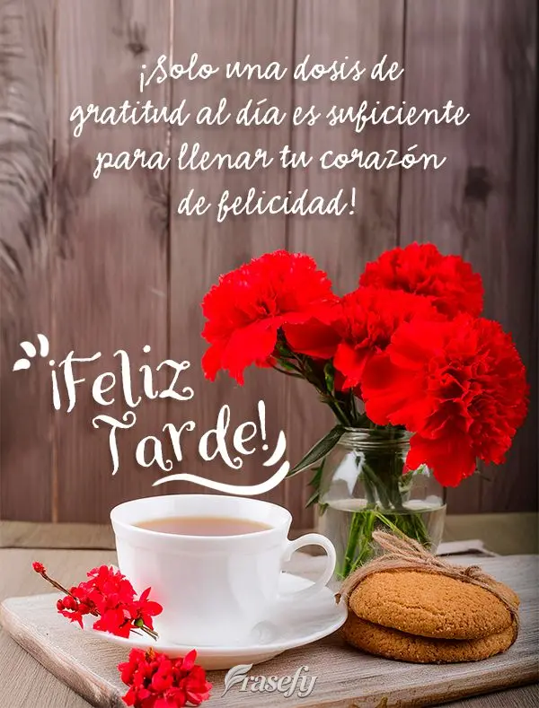 ¡Solo una dosis de gratitud al día es suficiente para llenar tu corazón de felicidad! ¡Buenas tardes!