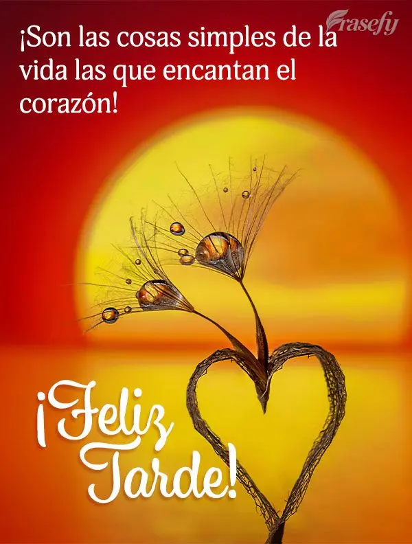 ¡Son las cosas simples de la vida las que encantan el corazón! ¡Feliz tarde!