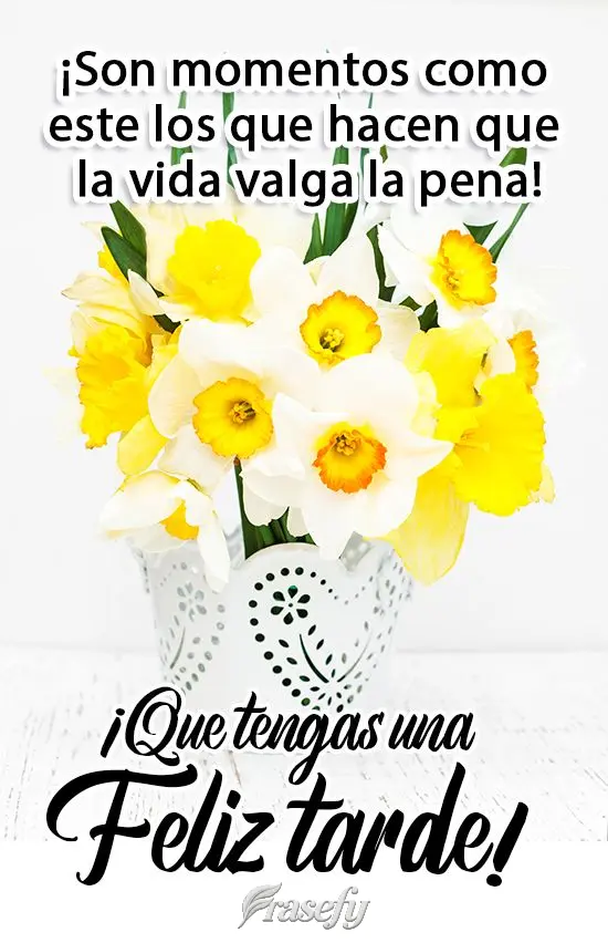 ¡Son momentos como este los que hacen que la vida valga la pena! ¡Que tengas una feliz tarde!