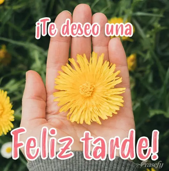 ¡Te deseo una feliz tarde!