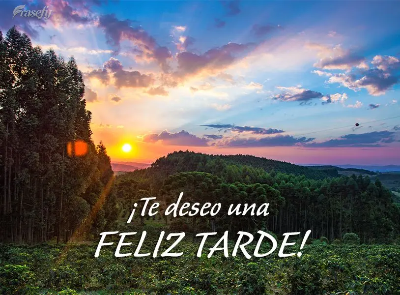 ¡Te deseo una feliz tarde!