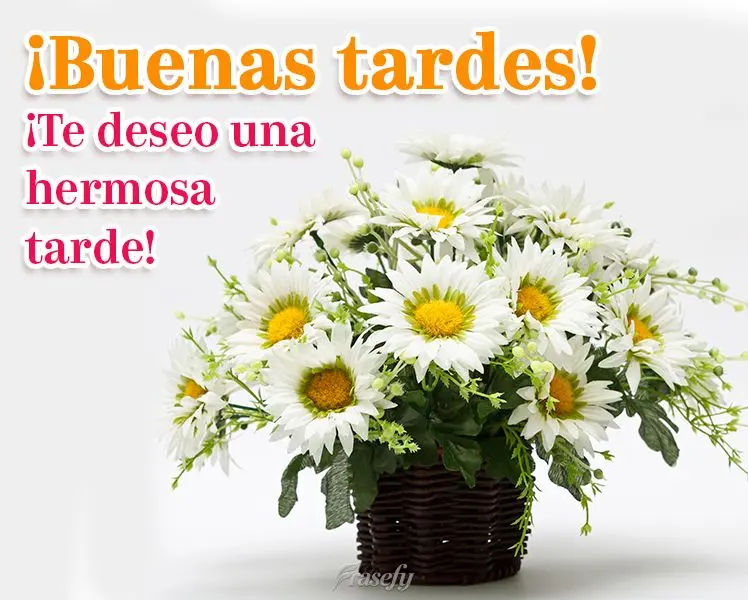 ¡Te deseo una hermosa tarde! ¡Buenas tardes!