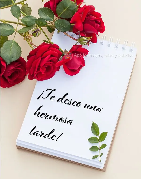 ¡Te deseo una hermosa tarde!